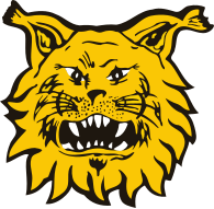 Ilves