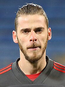 David de Gea Picture