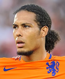 Van Dijk Picture